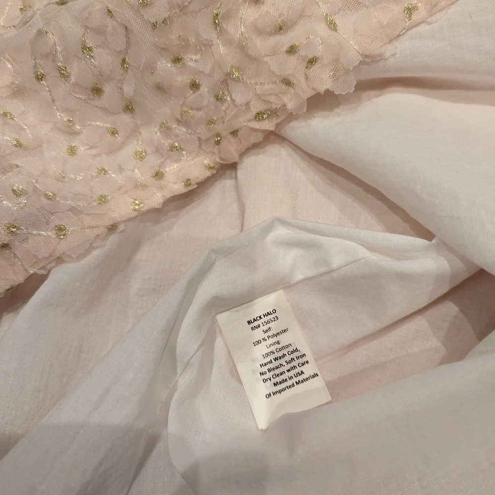 Black Halo Retails $375 Blush pink 3D floral dress - Picture 6 of 6